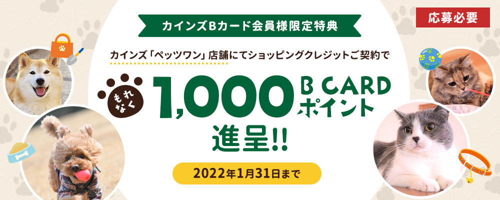 カインズ B CARD　1,000B CARDポイント進呈キャンペーン