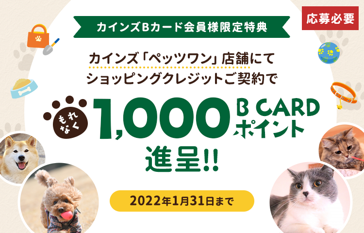 カインズ B CARD　1,000B CARDポイント進呈キャンペーン