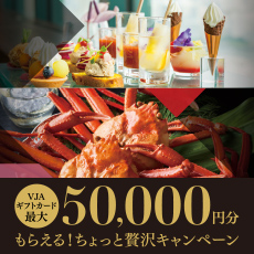 【DM送付者限定企画】VJAギフト券5万円が当たる!ちょっと贅沢キャンペーン