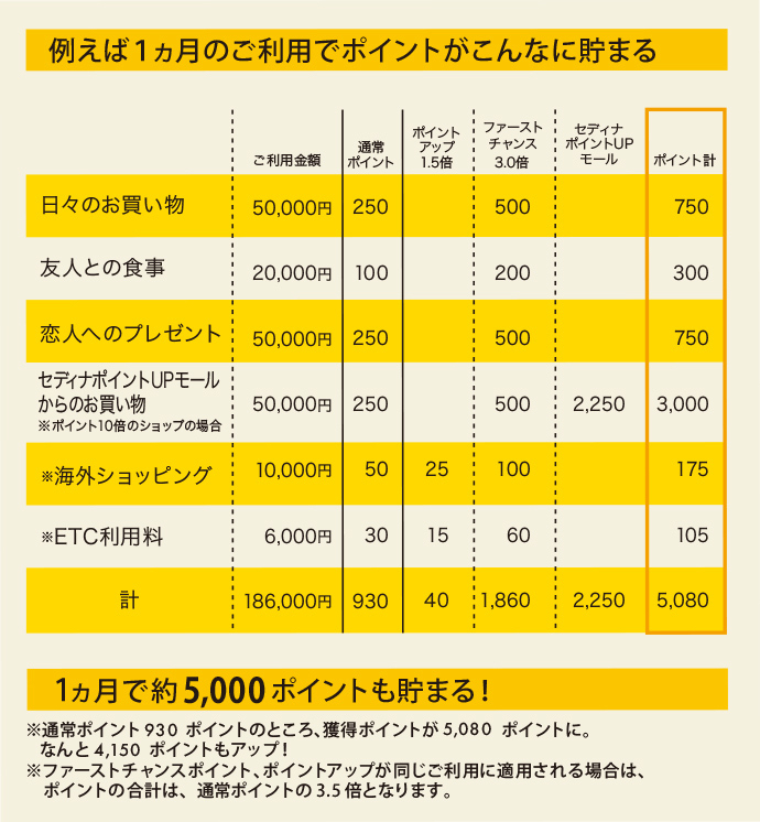 楽天銀行セディナカード 楽天銀行セディナカード（旧イーバンクカード